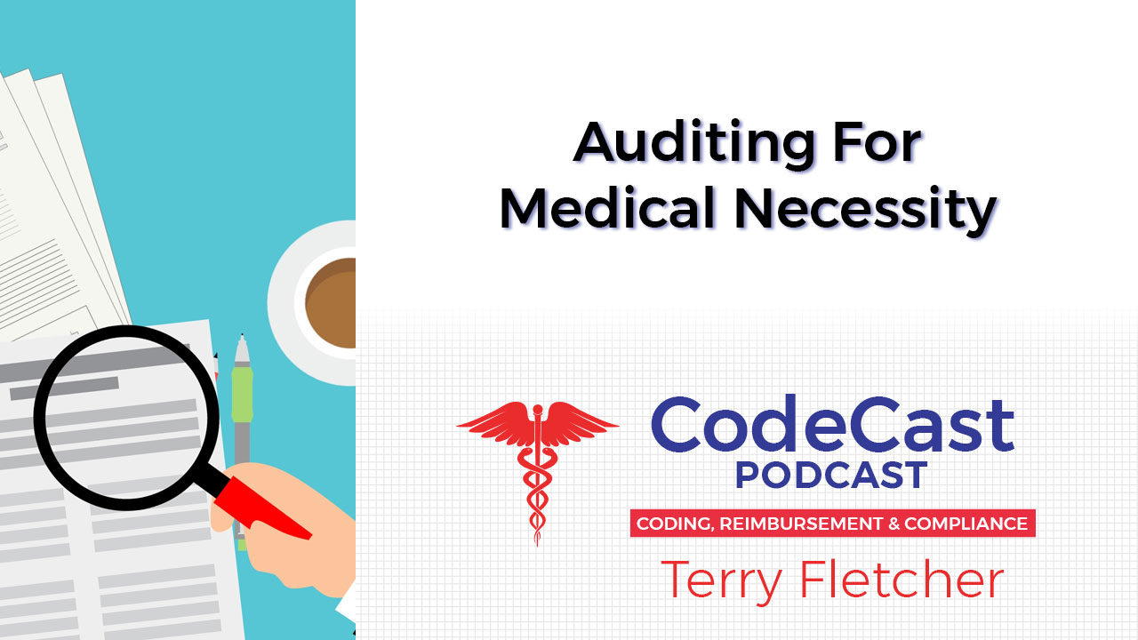 Auditing For Medical Necessity