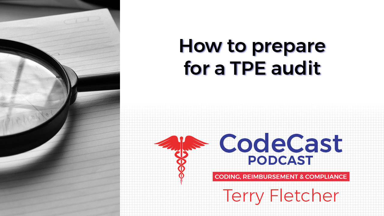 How to prepare for a TPE audit