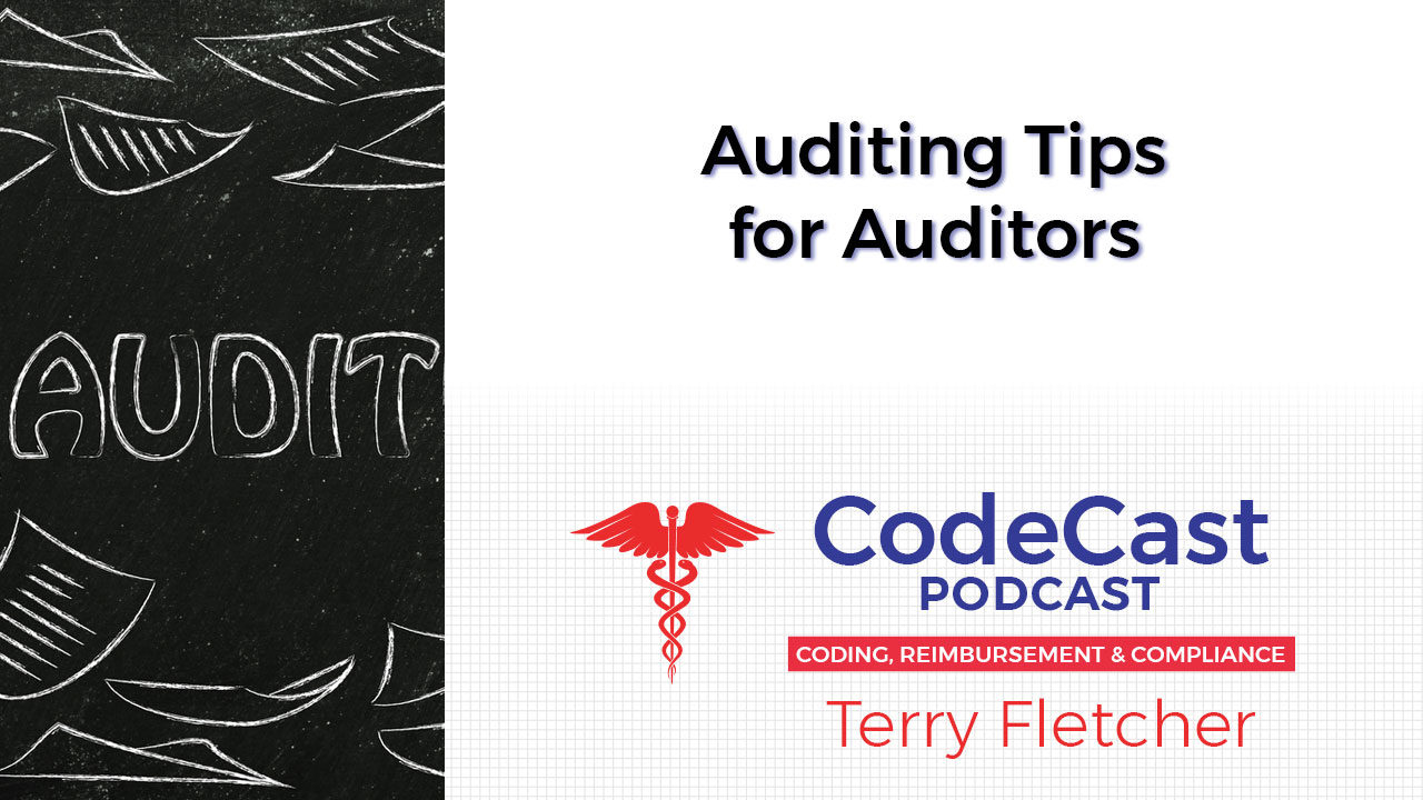 Auditing Tips for Auditors